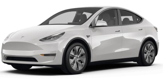 TESLA MODEL Y 2024 7SAYGDEE0RF025931 image